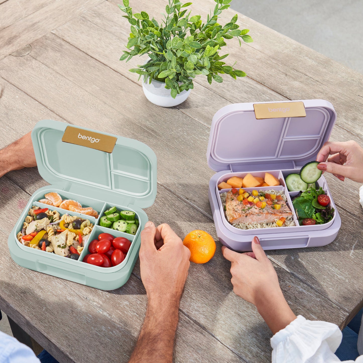 bentgo-modern-lunch-box-2-pack-p7 COSTCOBMCPRODUCTIMAGE_2.jpg